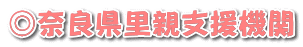 ޗǌex@